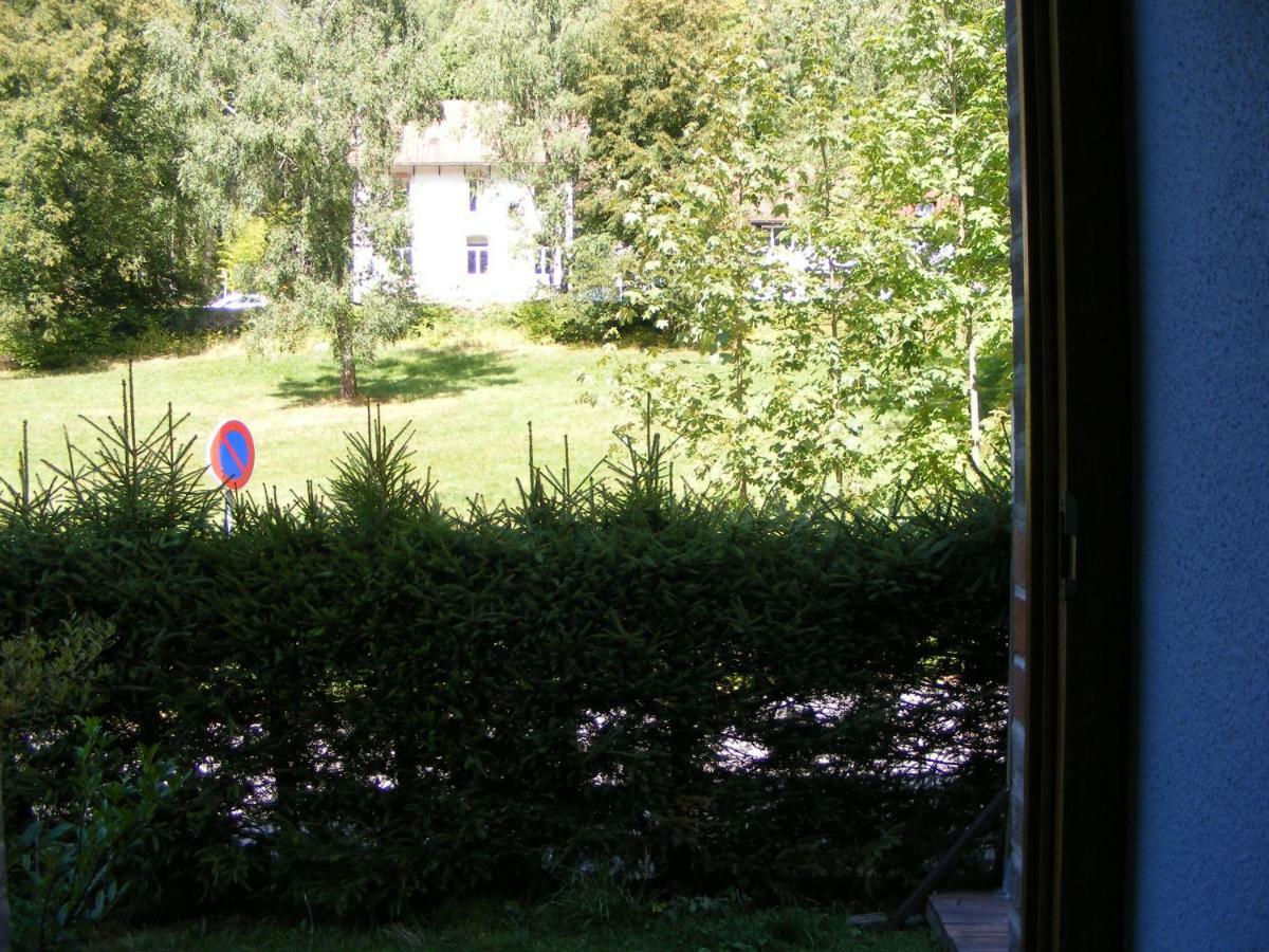 Les Mimosas Lejlighed La Bresse Eksteriør billede